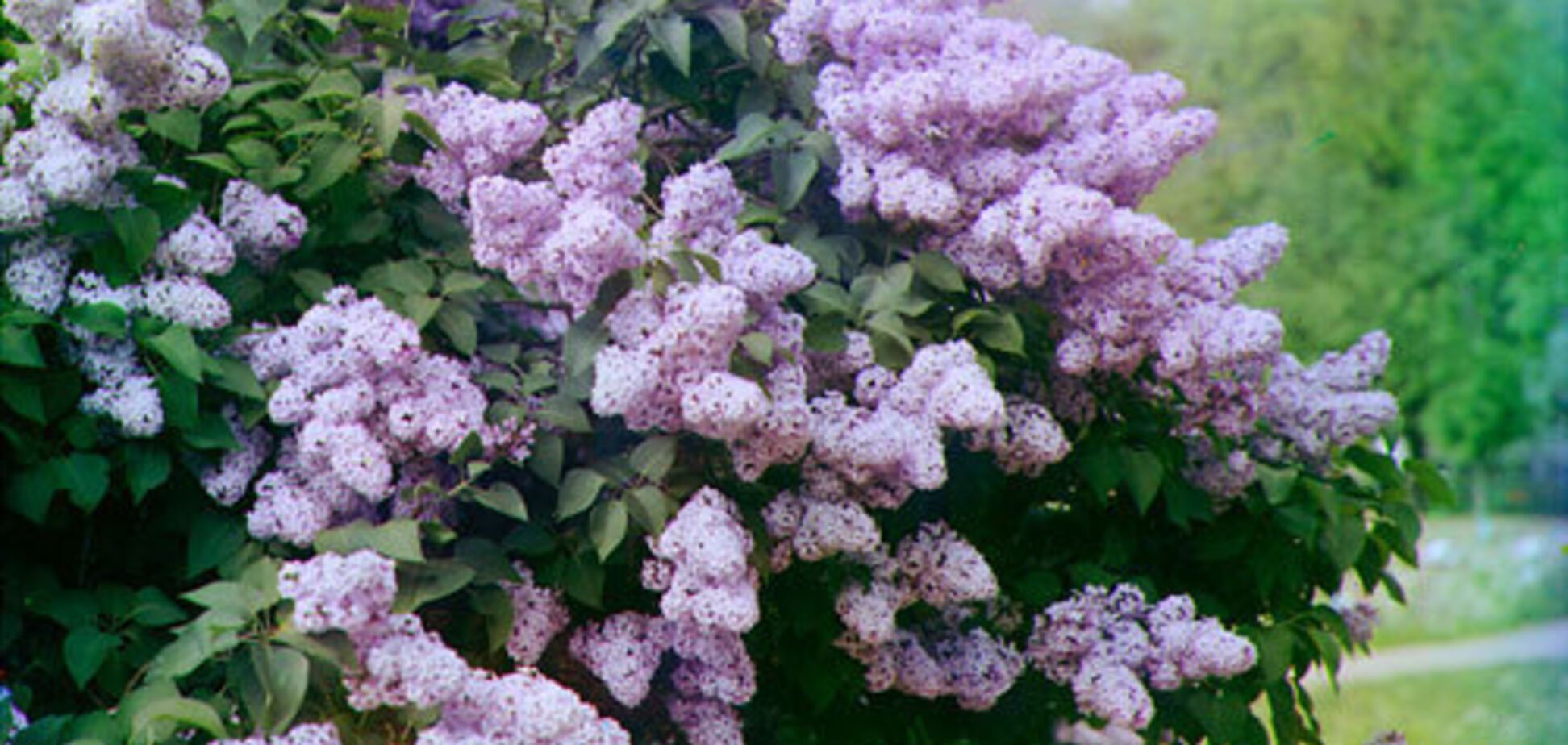 Погода в травні