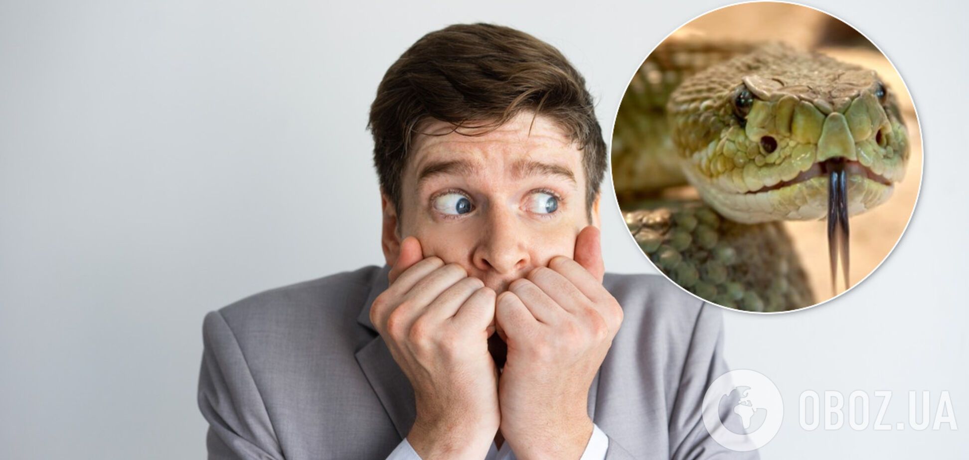 Нашествие змей в Днепре: несут ли они опасность