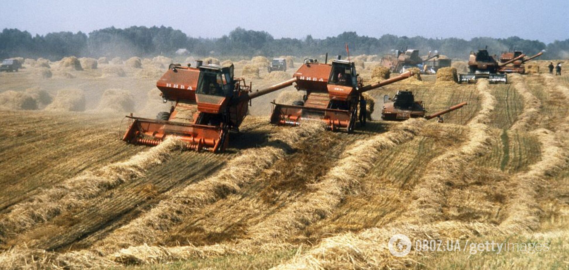 Как дипломаты будут спасать украинский бизнес после пандемии: озвучены шаги