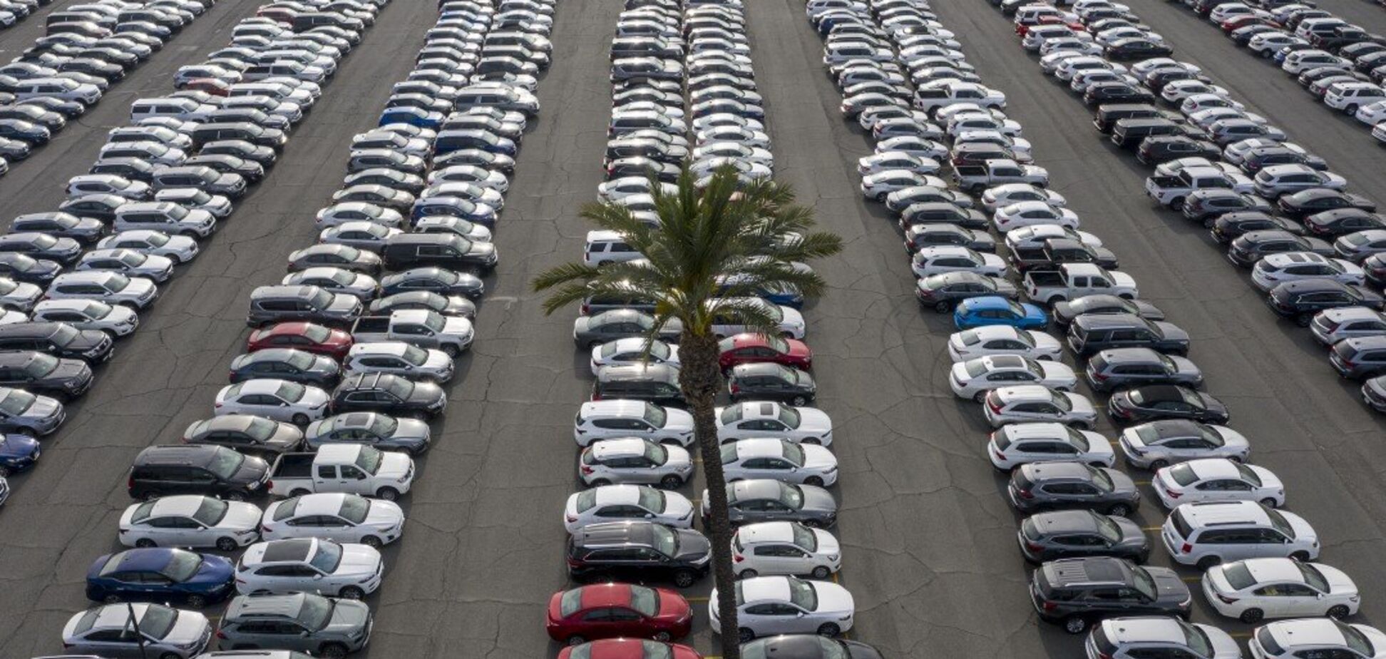 Незатребувані: тисячі нових Toyota складують під відкритим небом