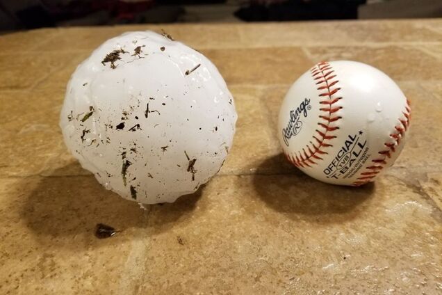 Больше 20 см: в США выпал рекордно гигантский град. Фото и видео