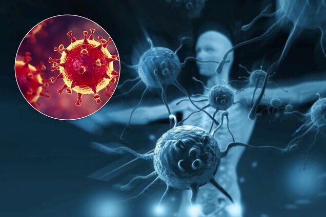 Выяснилось, что иммунитет к коронавирусу может длиться только шесть месяцев