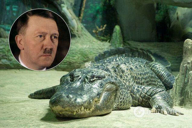 У Росії заявили про смерть "особистого алігатора Гітлера" та отримали відповідь