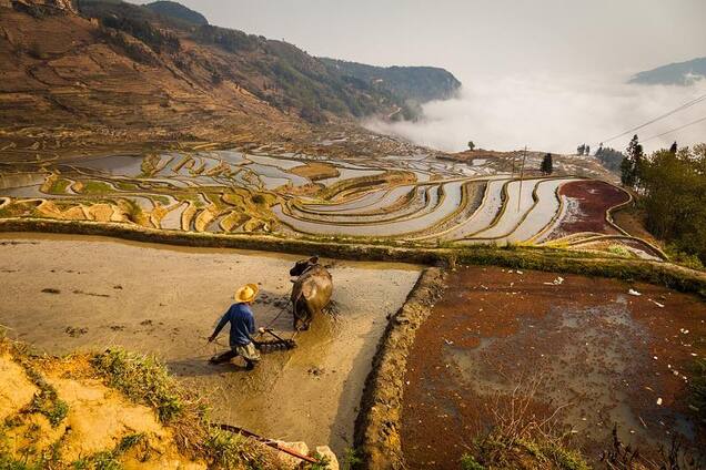 Рисовые террасы Хунхэ-Хани: холмы из множества равнин