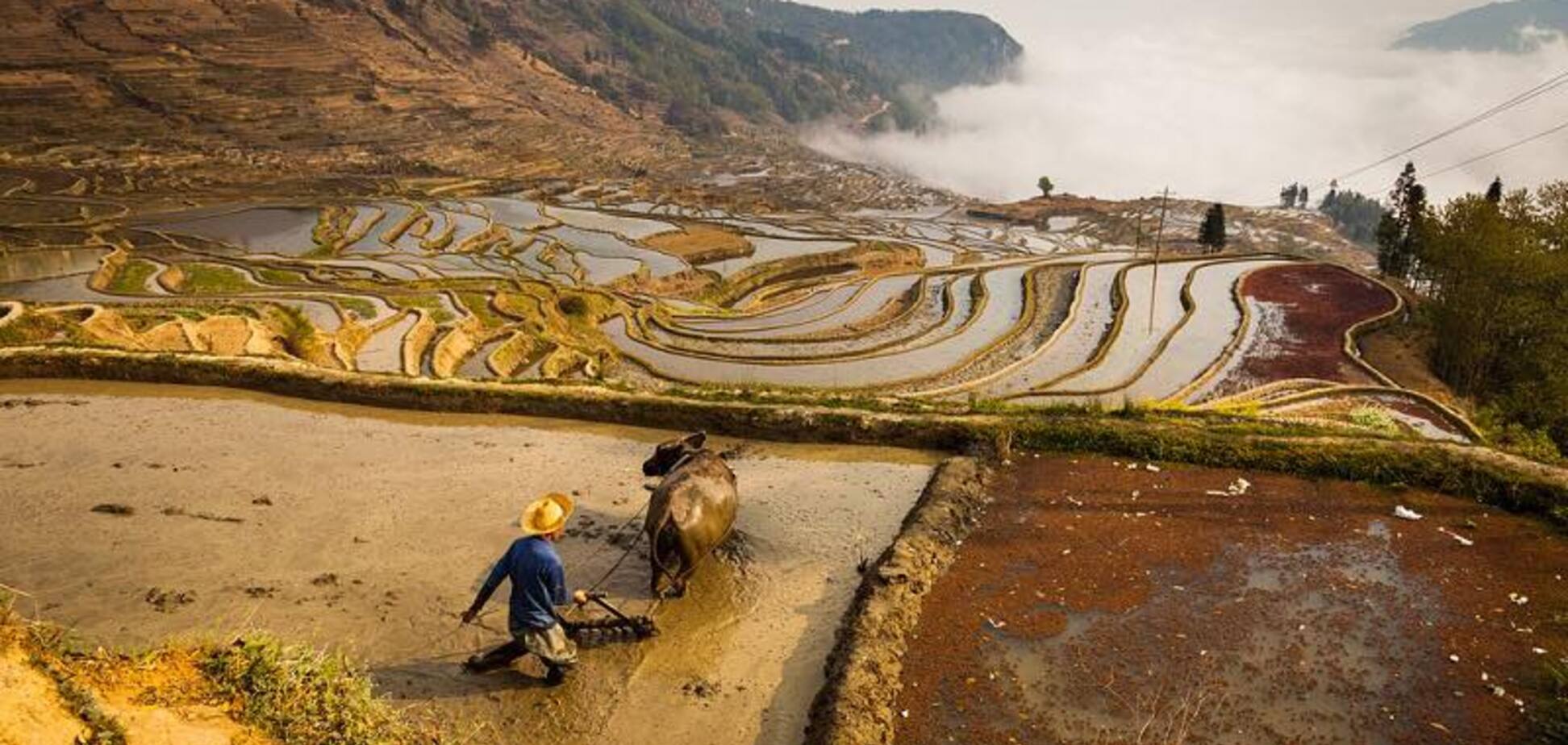 Рисовые террасы Хунхэ-Хани: холмы из множества равнин