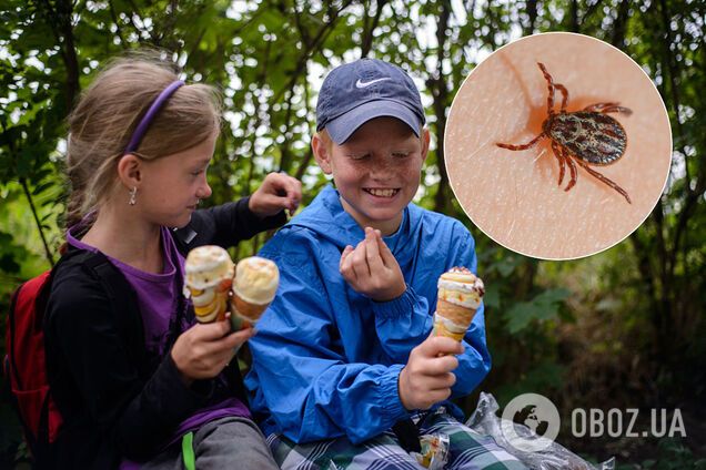 Клещи в лесу