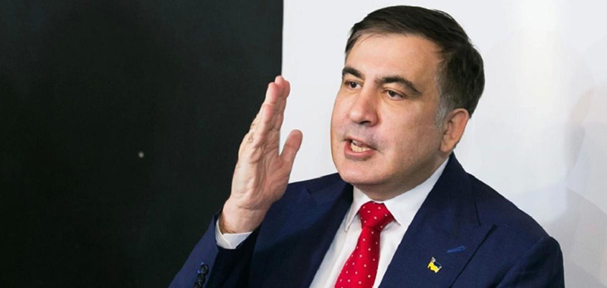 Саакашвили: Хватит уже выкручивать руки инвесторам в зеленую энергетику