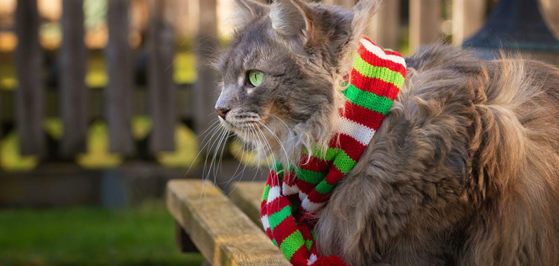 Одевайтесь потеплее: синоптики уточнили прогноз погоды в Днепре