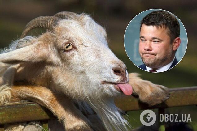 Андрій Богдан