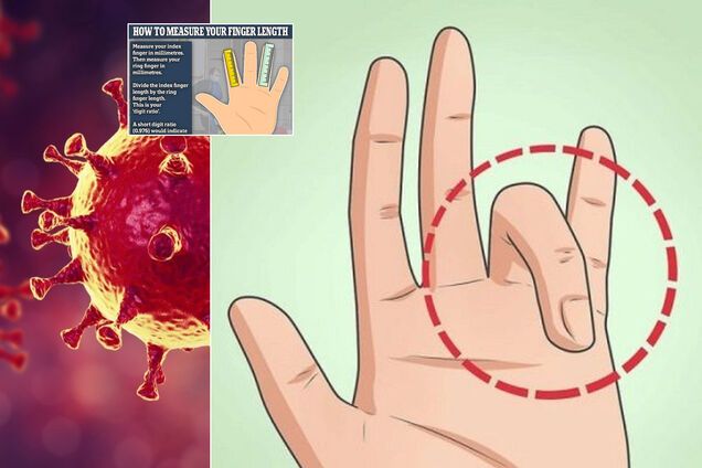 Ученые вывели закономерность между длинной безымянного пальца и уровнем смертности от COVID-19