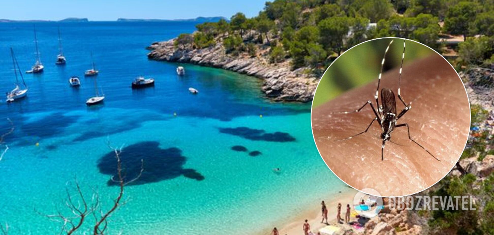 Нашестя комарів на Ібіці