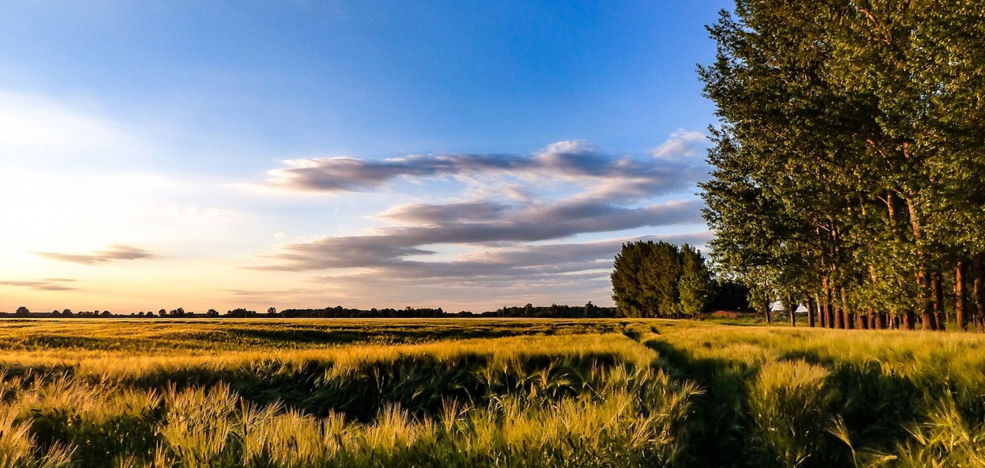 Пахом Теплый: как отмечать праздник и что он означает