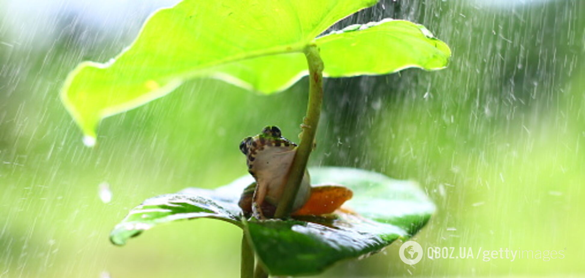 Днепр зальет дождями: синоптики уточнили прогноз на 27 мая