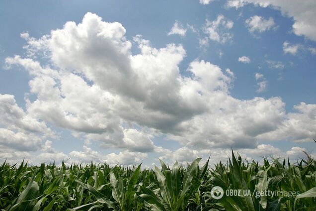 Спека до +25: синоптики розповіли, кому пощастить із погодою в Україні