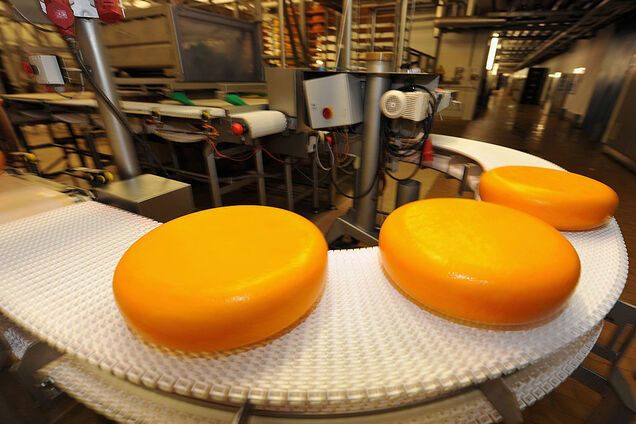Які кірки сиру корисні для здоров'я: розкрито основні відмінності