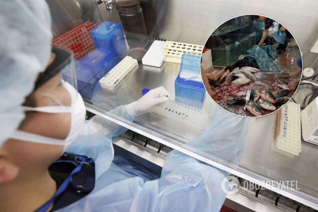 У Китаї зізналися, що коронавірус пішов не з ринку Уханя