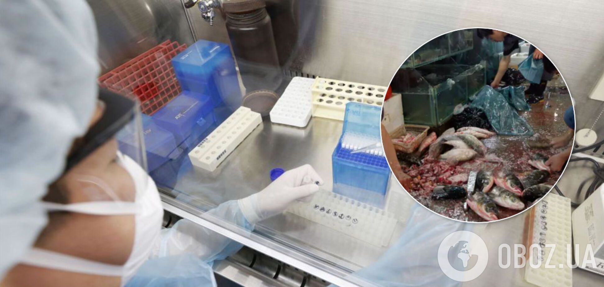 У Китаї зізналися, що коронавірус пішов не з ринку Уханя