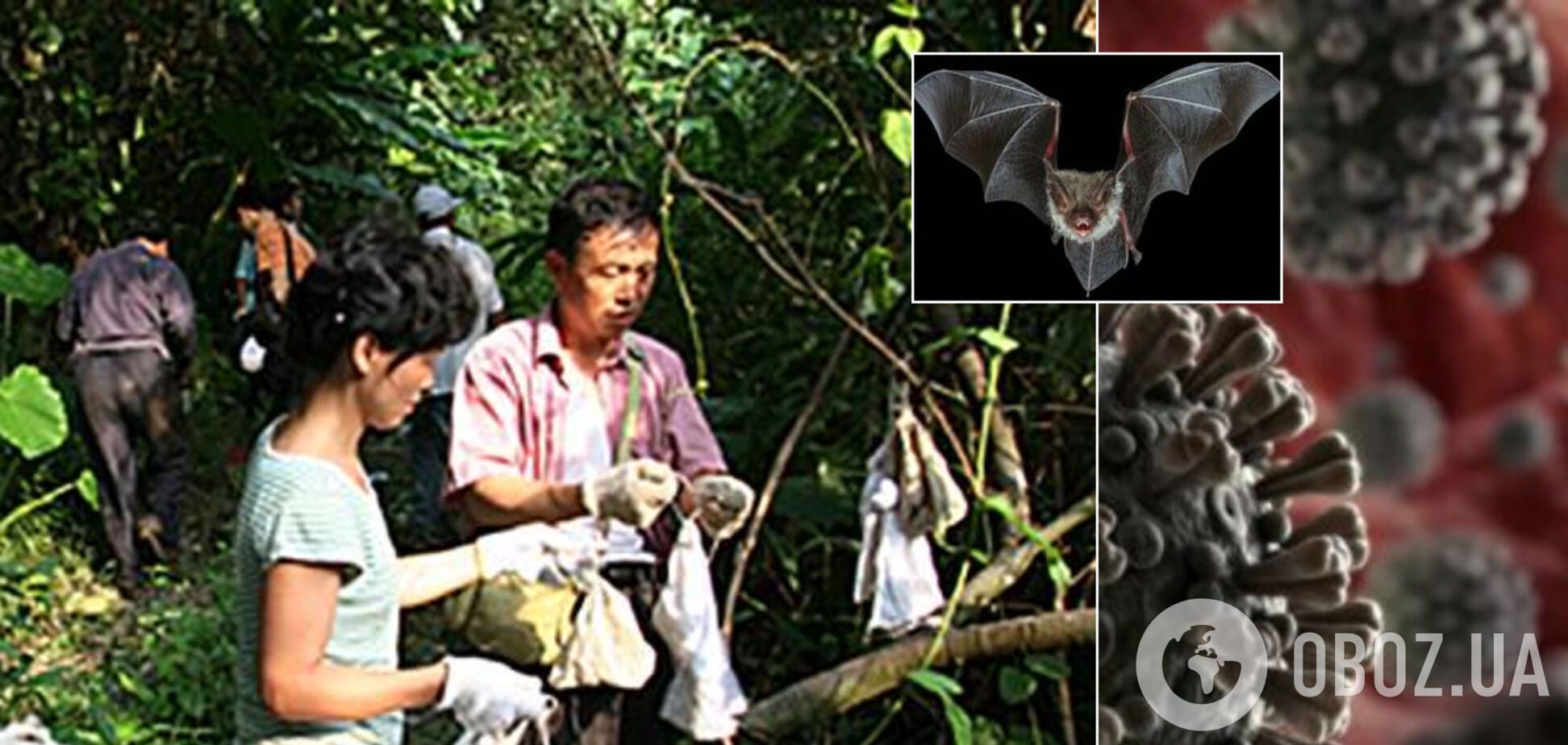 Учені з Уханя наплювали на безпеку з коронавірусом: секретні фото