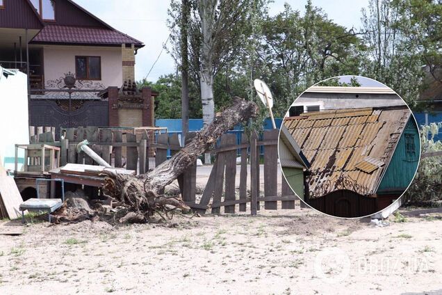 Погодный "армагеддон" обрушился на Бердянск: сносило крыши, падали деревья. Фото и видео