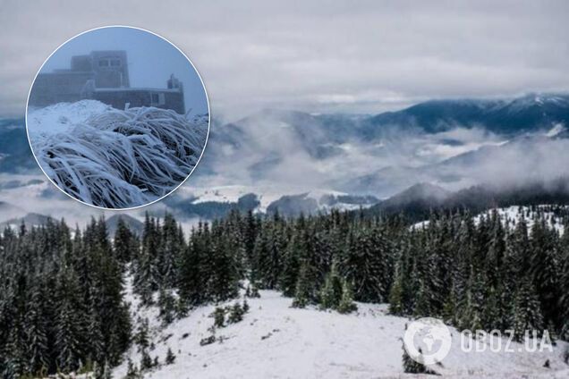 Літо? Не чули! У Карпатах випав сніг і вдарили заморозки. Фото