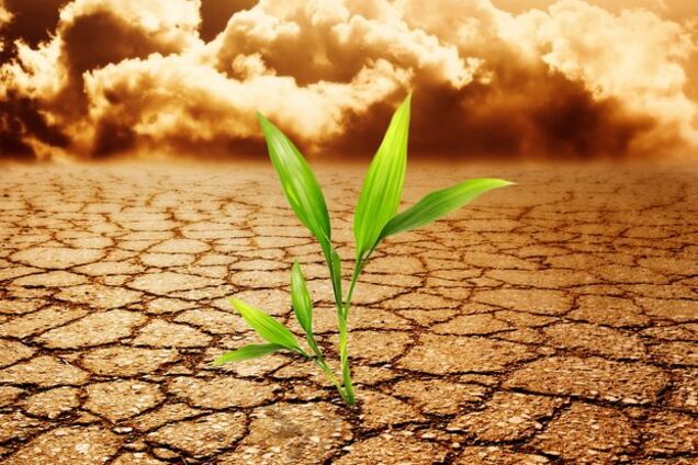 В Украине 10 лет будет засуха: что будет с ценами на продукты