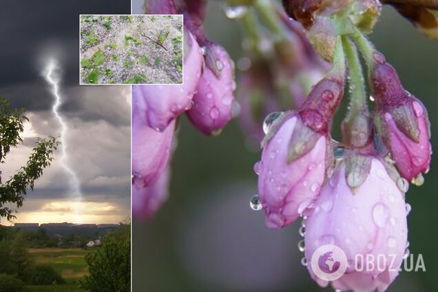 Дожди и грозы опять накроют Украину: синоптик дала мокрый прогноз. Карта