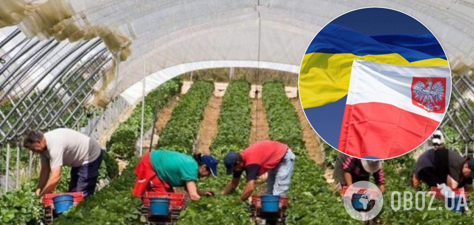У Польщі визнали залежність своєї економіки від українських заробітчан