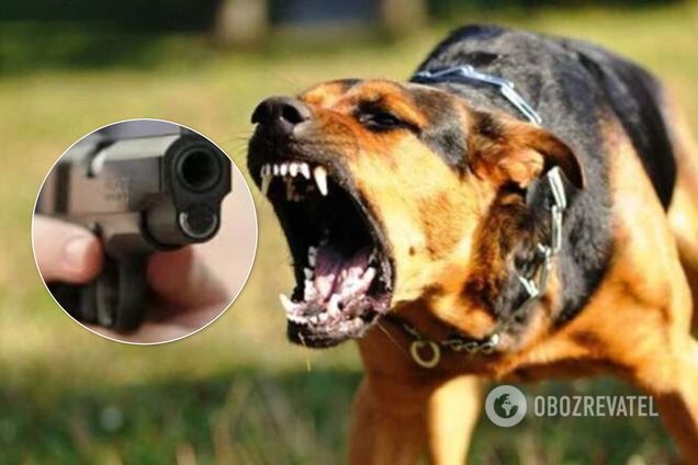 В Одессе полицейские стреляли в собаку возле детской площадки. Видео 18+