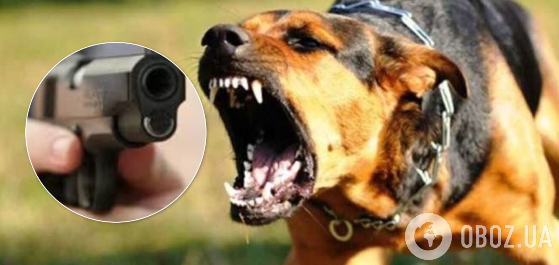 В Одесі поліцейські стріляли в собаку біля дитячого майданчика. Відео 18+