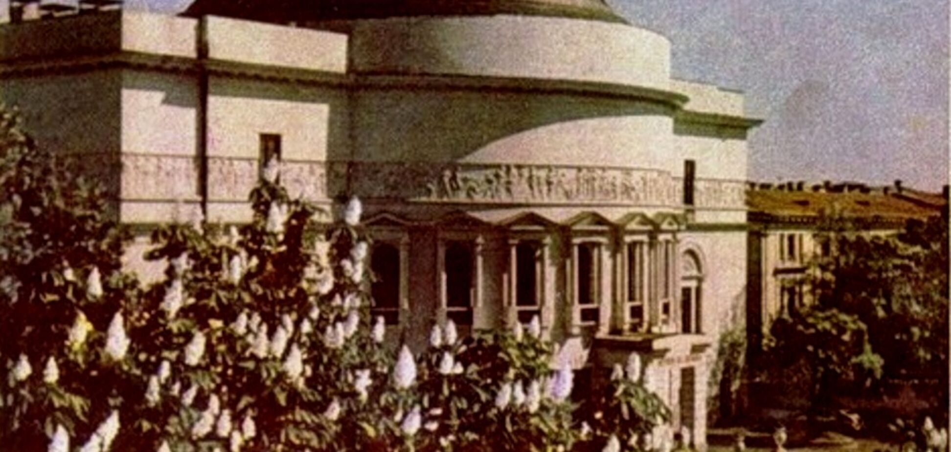 Каштани у Києві у 1959 році