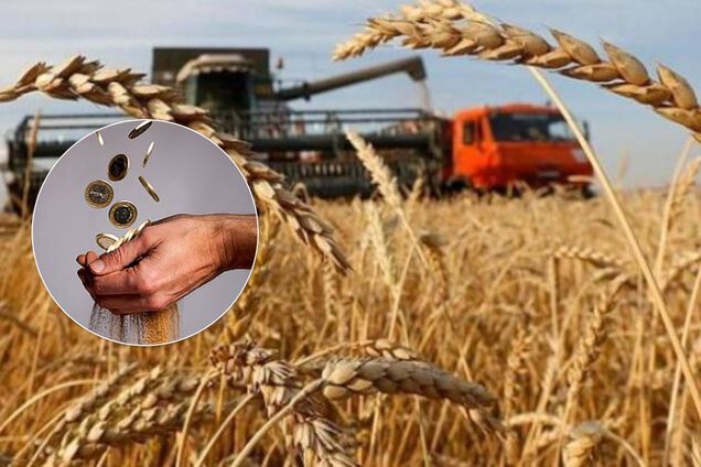 Миллиардные убытки: подсчитано, во сколько обошлись государству темные схемы в ГПЗКУ