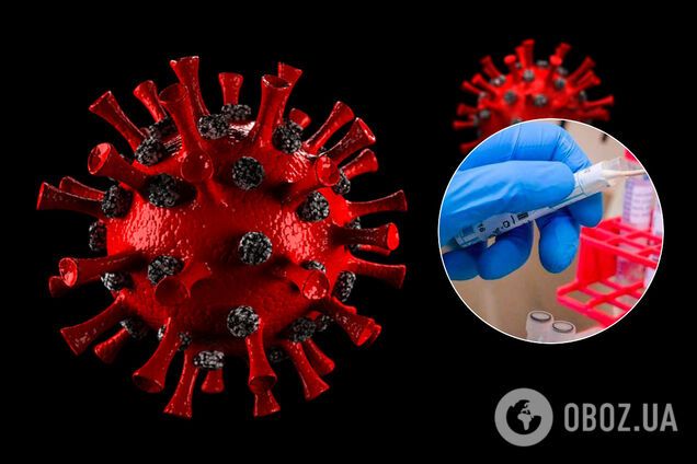 Найдены новые разновидности коронавируса: меняются в зависимости от страны
