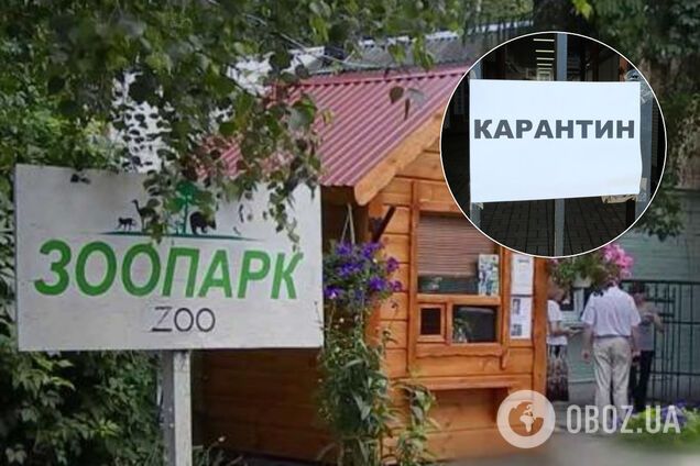 В Луцке решили быстрее выйти из карантина: открывают даже зоопарк