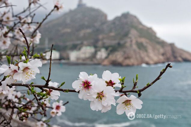 Новости Крымнаша. Оккупанты понимают, что они в Крыму — не дома