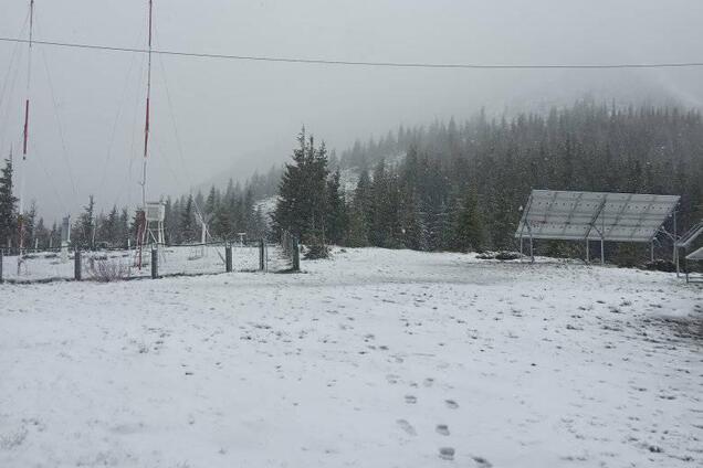 Карпати в останній день весни засипало снігом: фото та відео вразили мережу