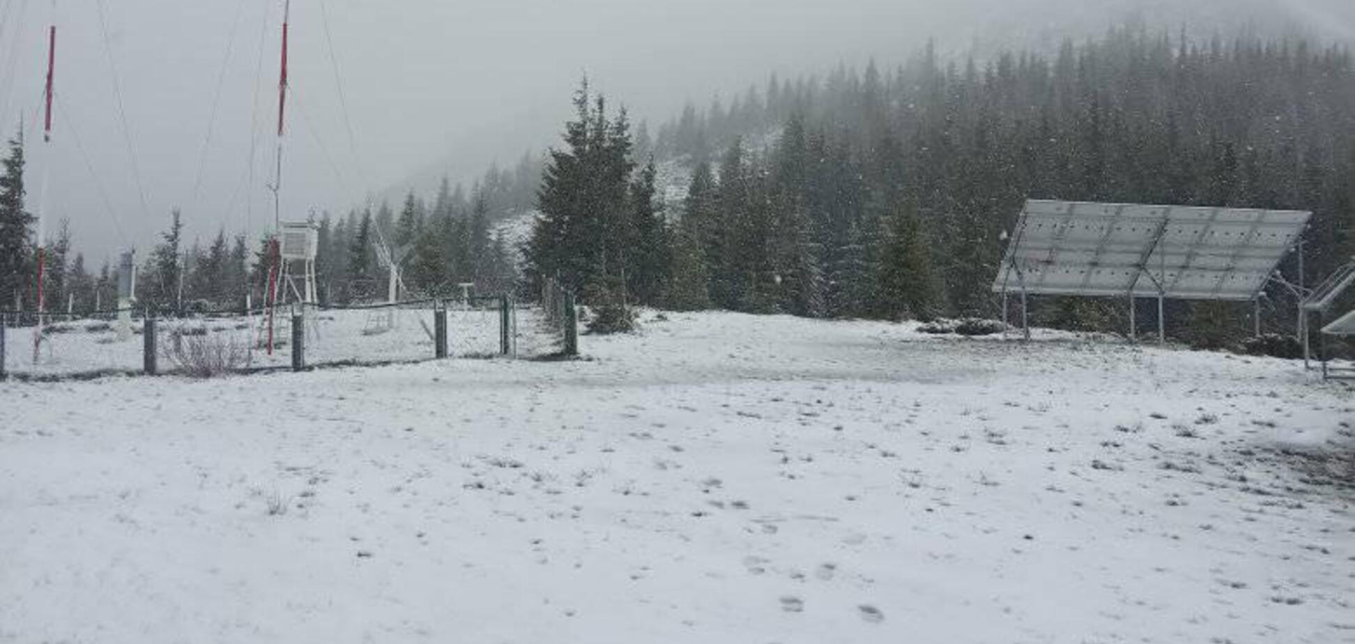 Карпаты в последний день весны засыпало снегом: фото и видео впечатлили сеть