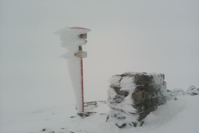 В Украине в первый день лета выпал снег: впечатляющие фото