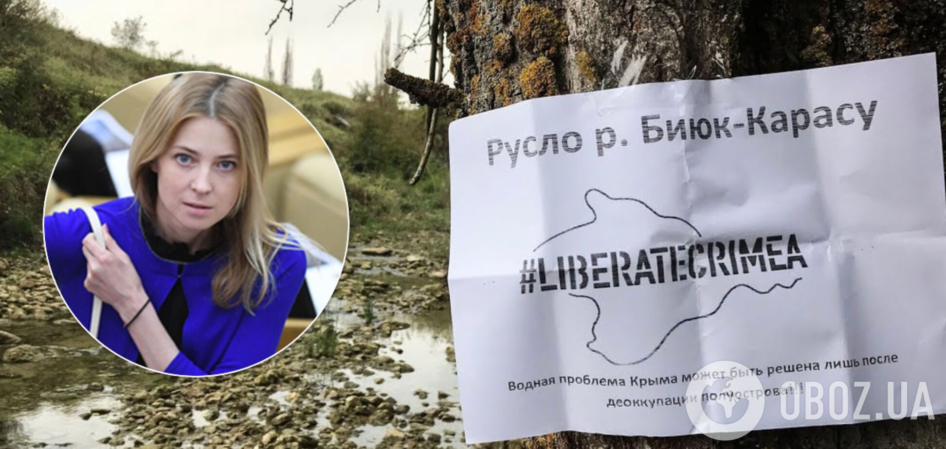 В Крыму назрела катастрофа из-за недостатка воды: в России забили тревогу