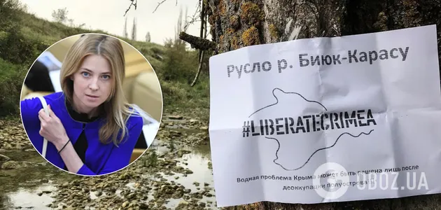 Наталья Поклонская обратилась в ООН из-за неподачи воды в Крым