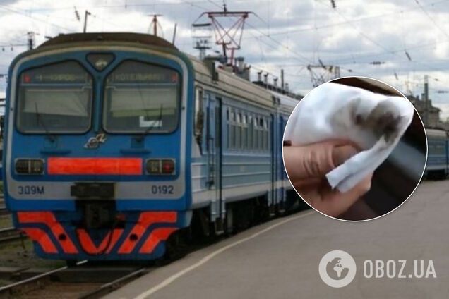 У вагоні бруд, на підлозі насіння: 'Укрзалізниця' в перший же день потрапила в скандал. Відео