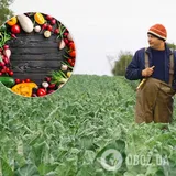 Украинские фермеры смогут продавать свои продукты онлайн