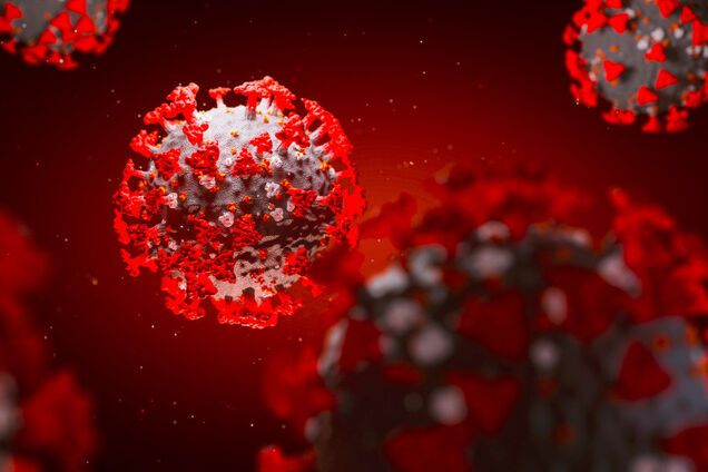 Вчені виявили шість типів коронавірусу