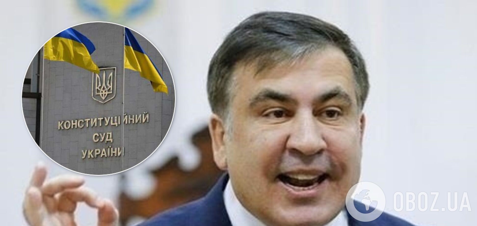 Саакашвили предложил упразднить Конституционный суд и нарвался на критику