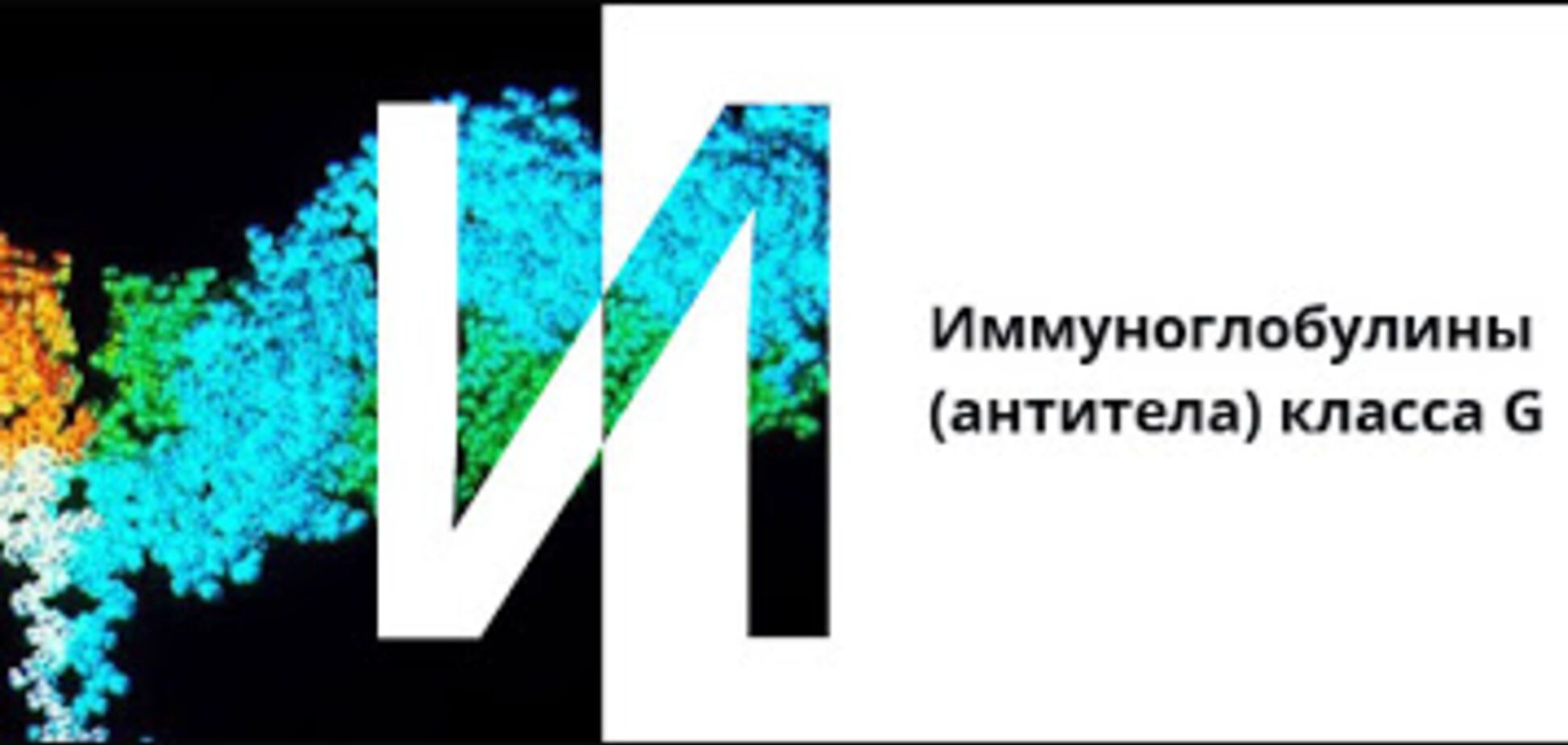 Внутривенные иммуноглобулины в неотложной терапии септического шока