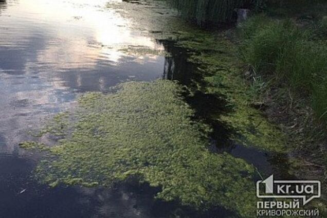 На Днепропетровщине в водоеме обнаружили труп мужчины