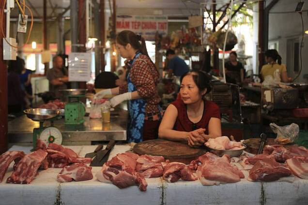 У В'єтнамі ще в 2013 році знайшли шість видів коронавірусу: вчені розповіли про ринки-осередки