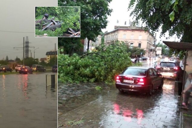 Во Львове мощный ураган повалил десятки деревьев: погибла женщина. Фото и видео непогоды