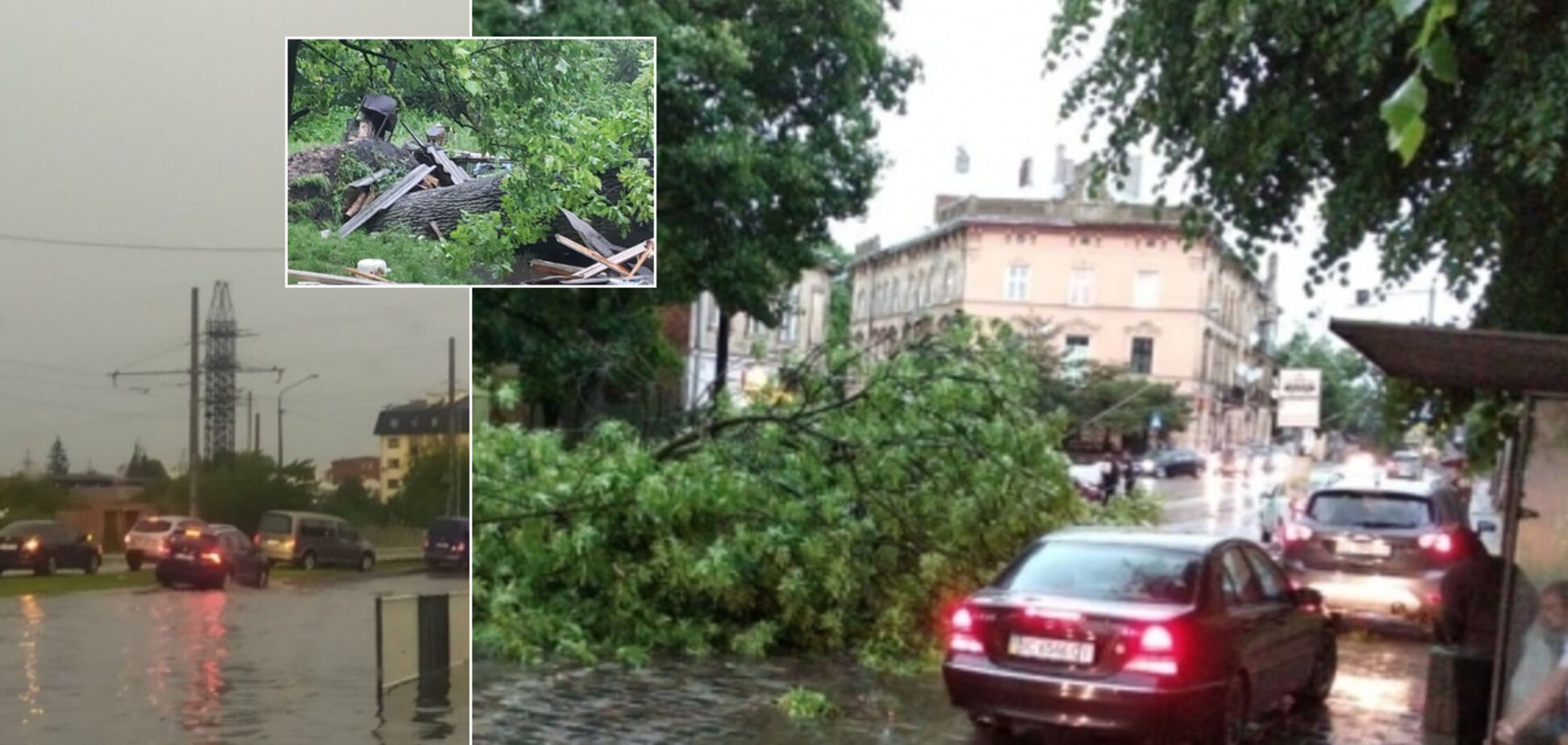 У Львові потужний ураган повалив десятки дерев: загинула жінка. Фото і відео негоди