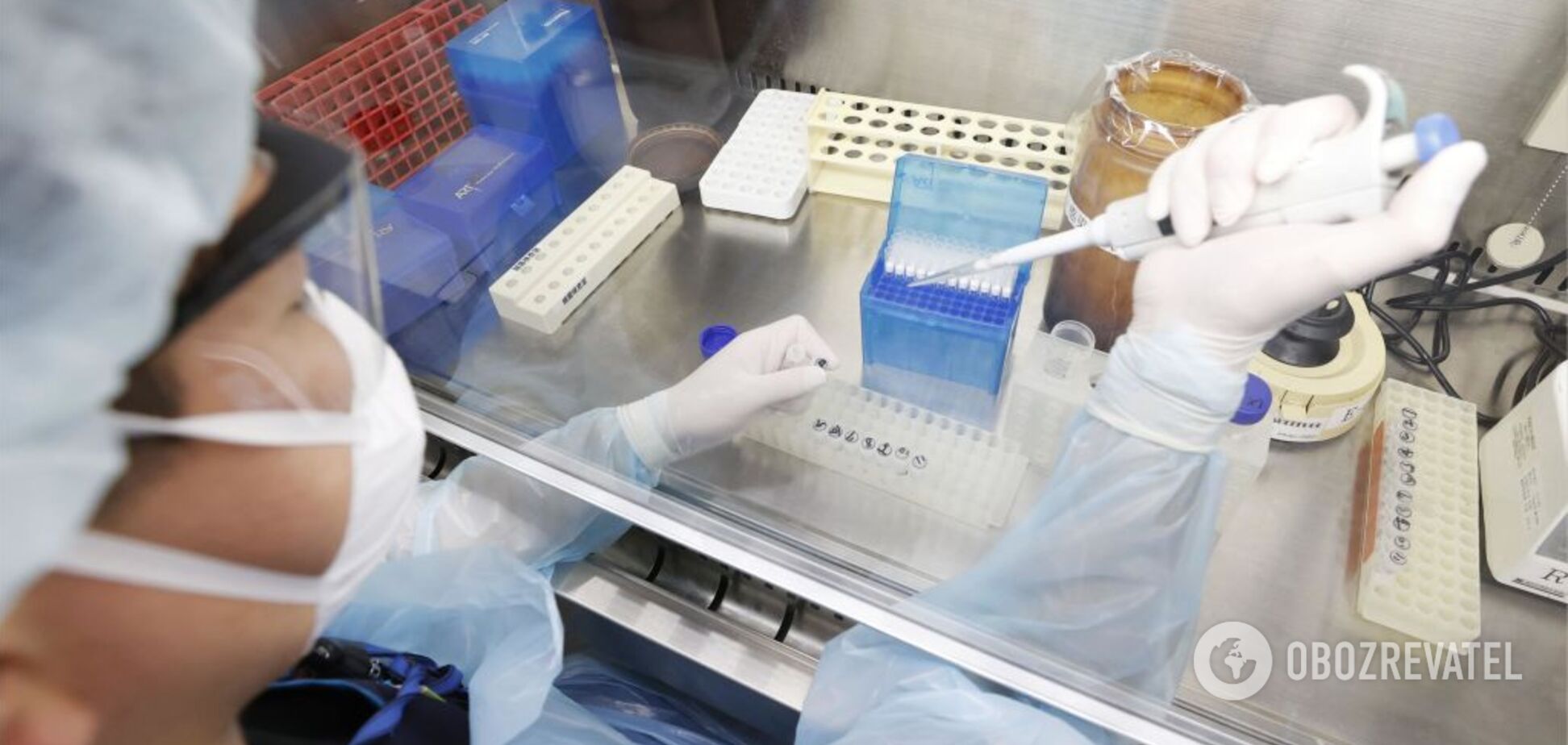 Иммунитет к коронавирусу может длиться 17 лет – ученые