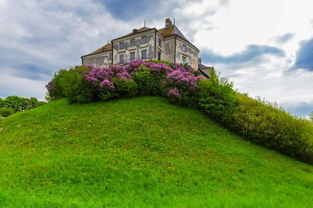 15 замков Украины, которые стоит увидеть. Фото